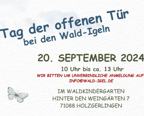 Flyer Infotag